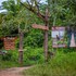 tambopata