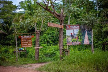 tambopata
