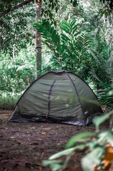 tambopata