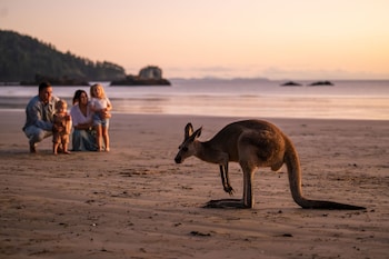 cape hillsborough