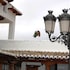 hotel el cortijo de daimiel