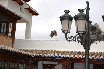 hotel el cortijo de daimiel