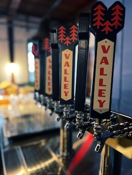 valley craft ales