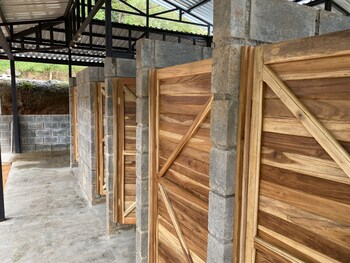 esquipulas rainforest