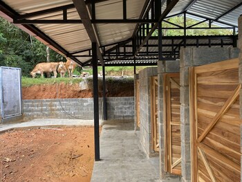 esquipulas rainforest