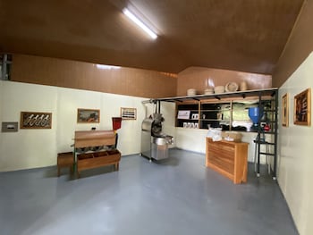 esquipulas rainforest