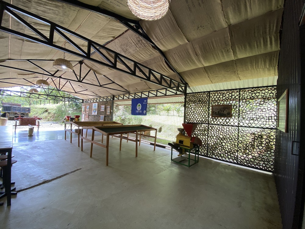 esquipulas rainforest