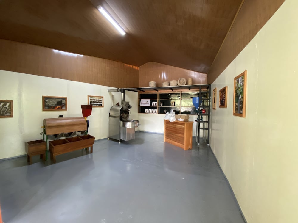 esquipulas rainforest