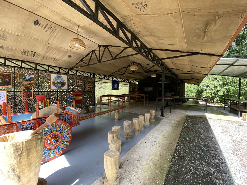 esquipulas rainforest