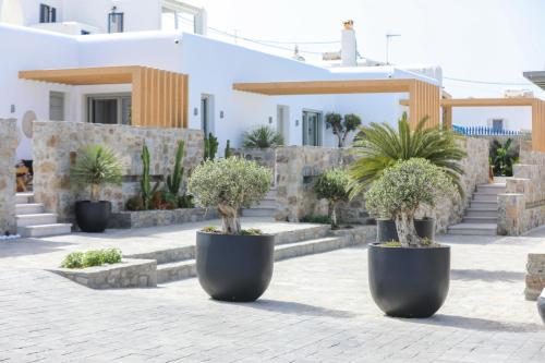 brilliance of mykonos