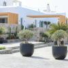 brilliance of mykonos