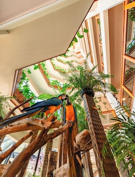 hotel vila germanica