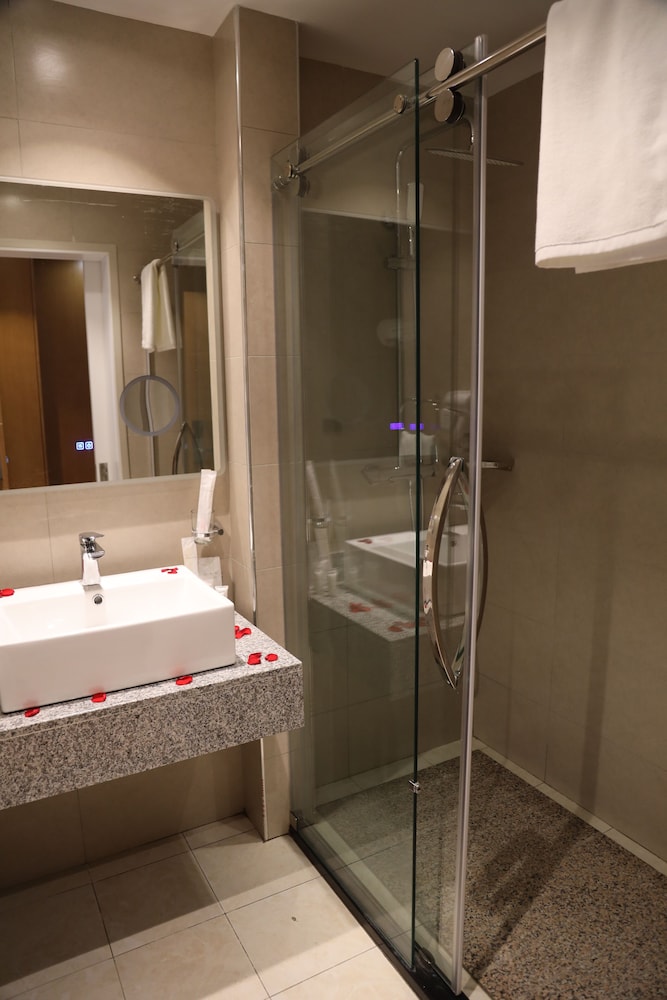 hayes hotel addis ababa