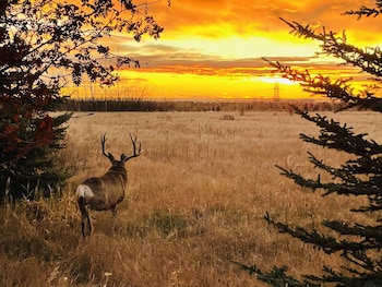 mountain view 1 br full kitchen bbq ac