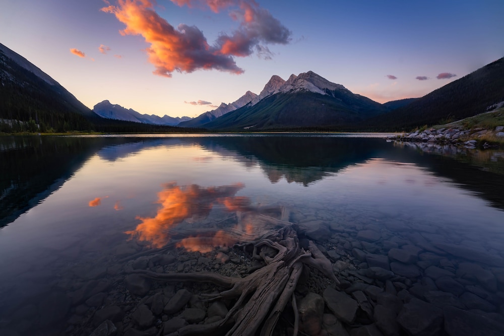 one hotel room with king bed and ac