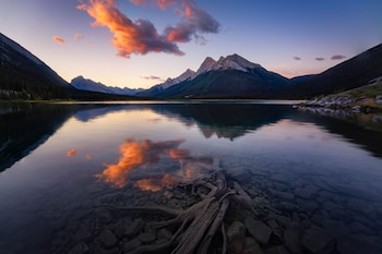 one hotel room with king bed and ac