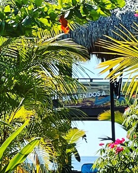 sambo mambo beach hotel