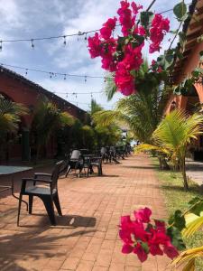 sambo mambo beach hotel