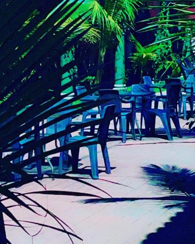 sambo mambo beach hotel