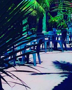sambo mambo beach hotel