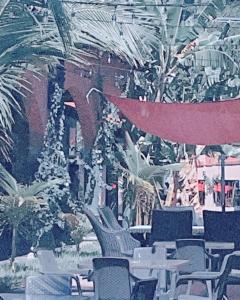 sambo mambo beach hotel