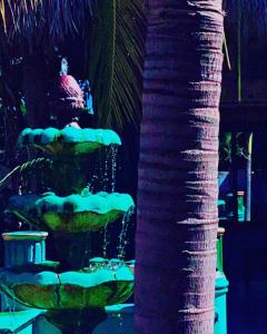 sambo mambo beach hotel