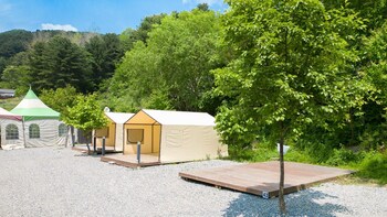 namyangju sansokcamping glampingandcaravan