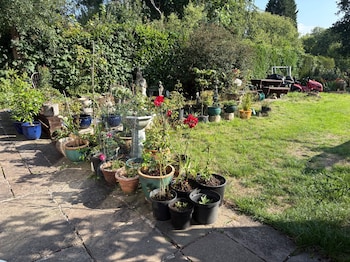 Beautiful 1-Bed Studio Lickey Hills, Birmingham,United Kingdom>>Birmingham,0 star