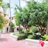 punta cana