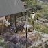 lengkeng da lat homestay