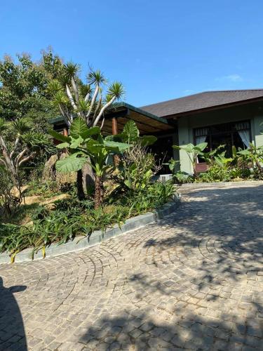 amour resort bavi