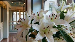 hotel in den herrnwiesen