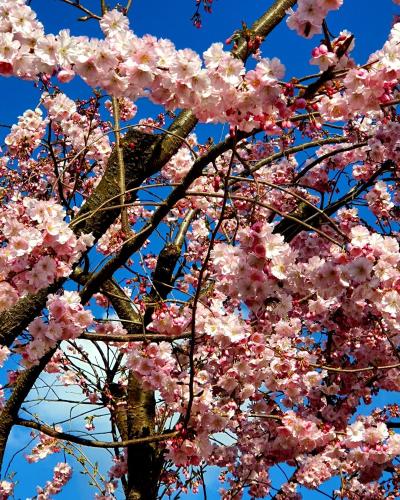hotel in den herrnwiesen