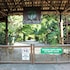 pousada canto verde