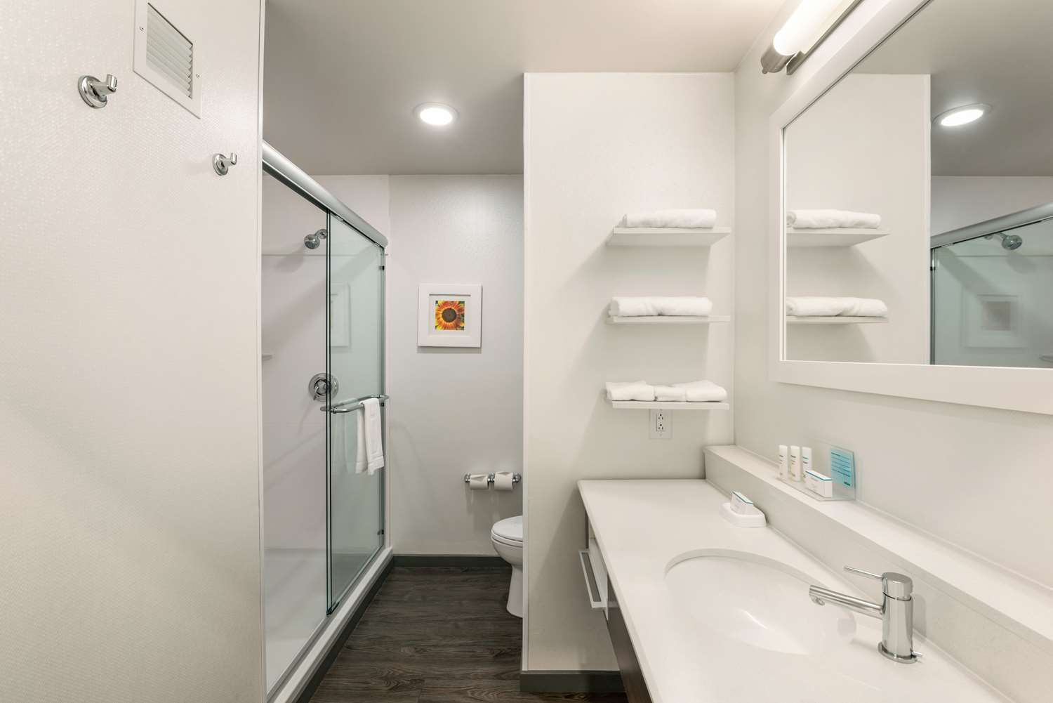 hampton inn and suites lavonia