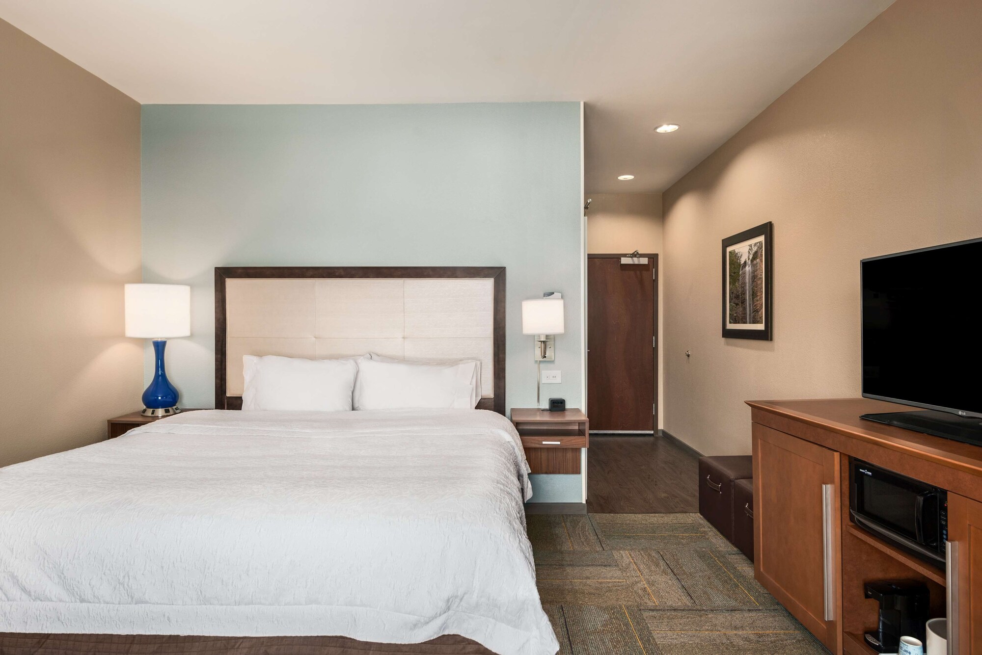 hampton inn and suites lavonia