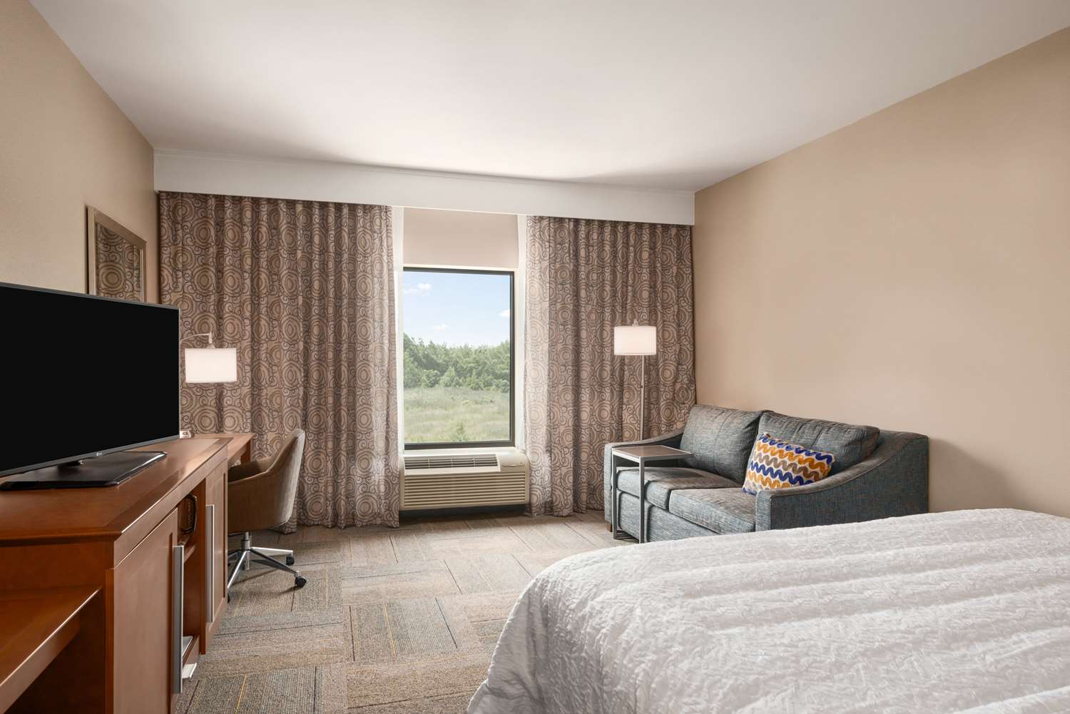 hampton inn and suites lavonia