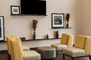 hampton inn and suites lavonia