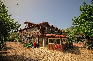 yavuz motel adrasan