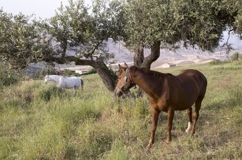 equiturismo san lorenzo villa kamara