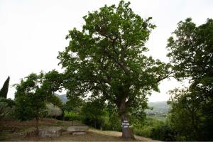 equiturismo san lorenzo villa kamara