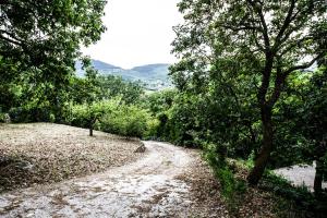 equiturismo san lorenzo villa kamara