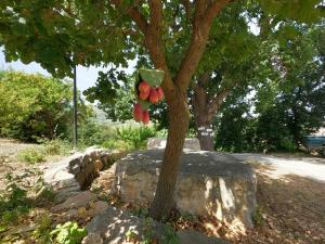 equiturismo san lorenzo villa kamara