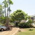thiiri cultural center