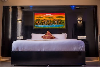 spring hills hotel dodoma