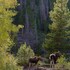 arapaho valley ranch
