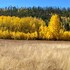 arapaho valley ranch