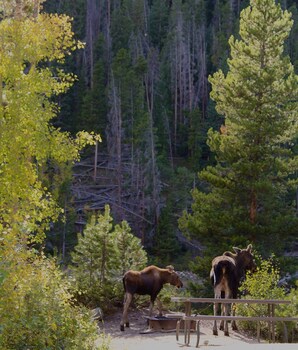 arapaho valley ranch
