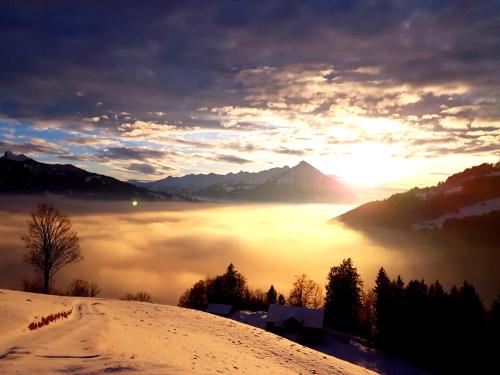 hotel sterne