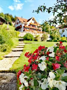 hotel sterne